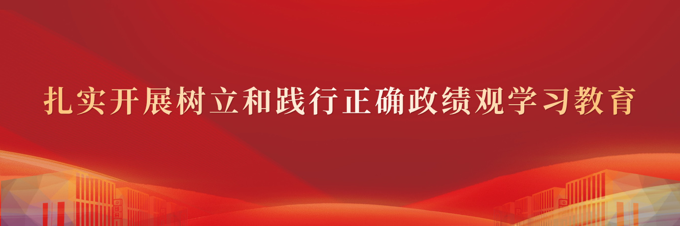 扎实开展树立和践行正确政绩观学...